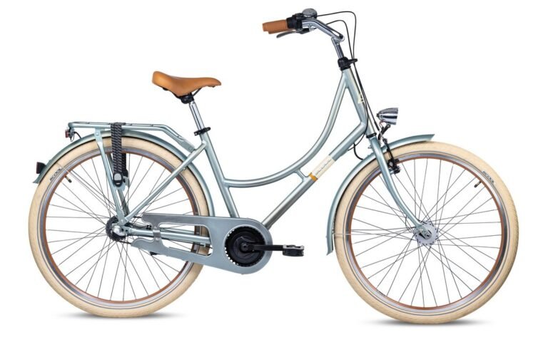 S'cool chiX classic 26 3-Gang - 26 Zoll - Doppelrohr