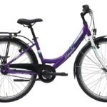 Hercules Pippa R3 - 20 Zoll - Tiefeinsteiger - 2026
