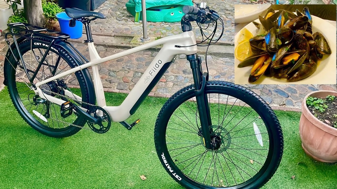 Trekking E-Bikes